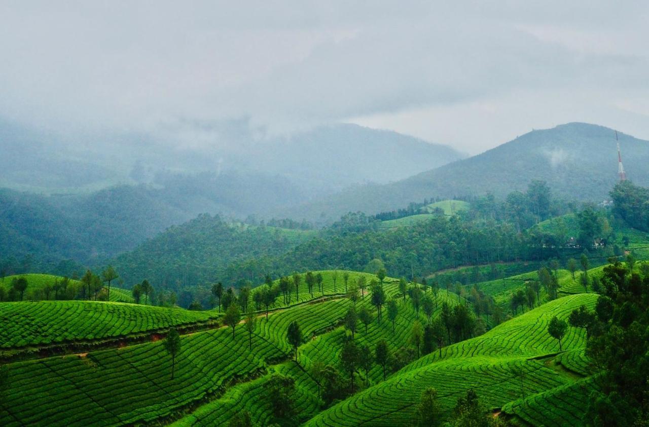 Lockhart Bungalow Munnar - A Cgh Earth Saha Experience المظهر الخارجي الصورة