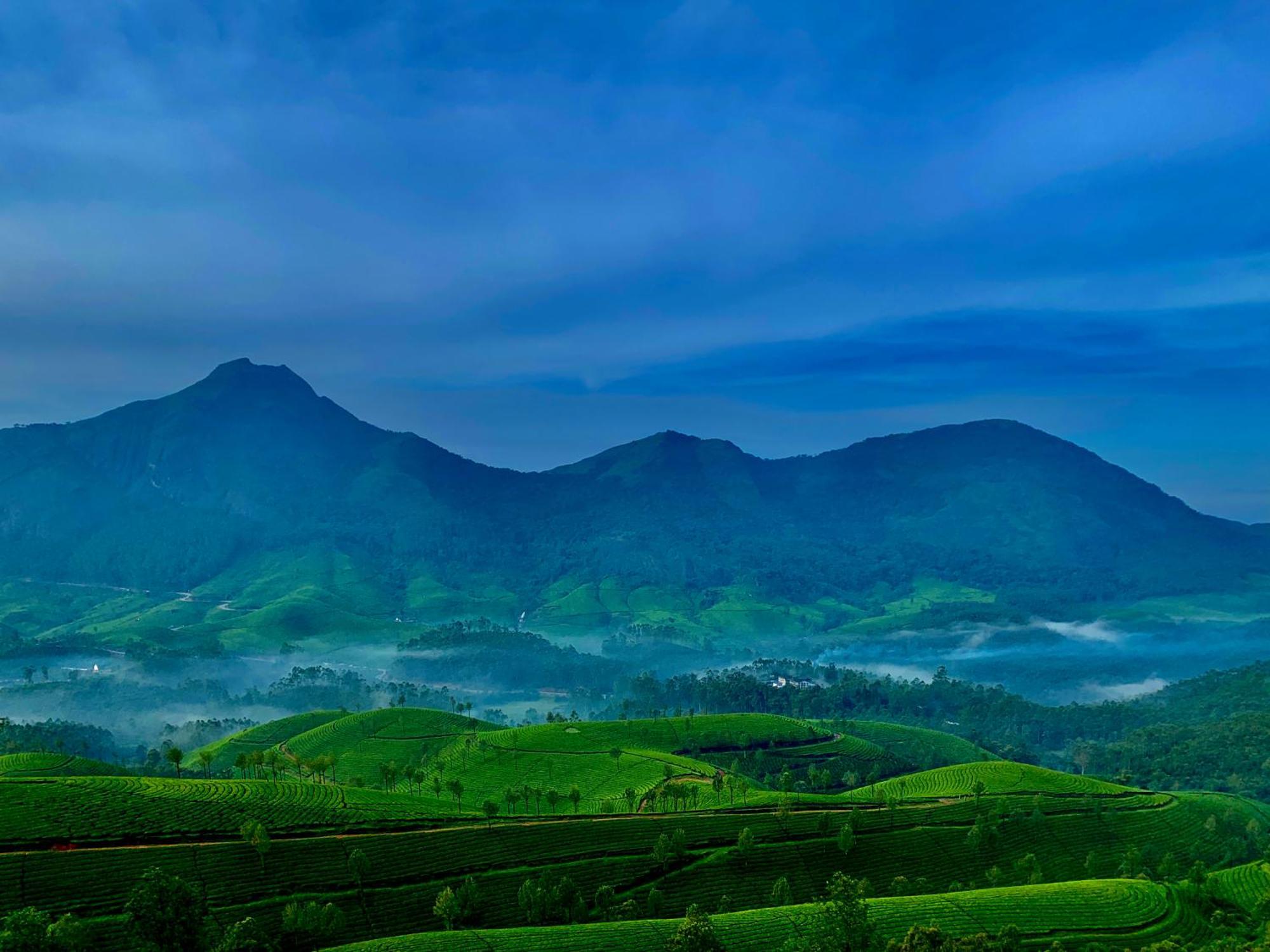 Lockhart Bungalow Munnar - A Cgh Earth Saha Experience المظهر الخارجي الصورة