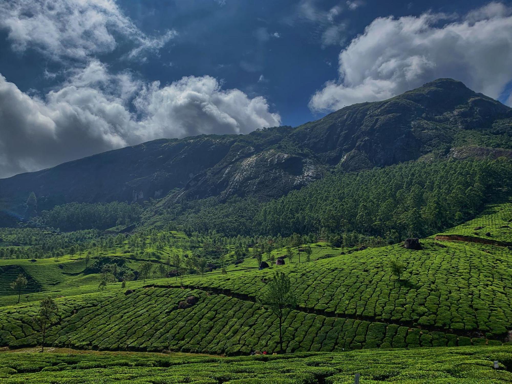Lockhart Bungalow Munnar - A Cgh Earth Saha Experience المظهر الخارجي الصورة