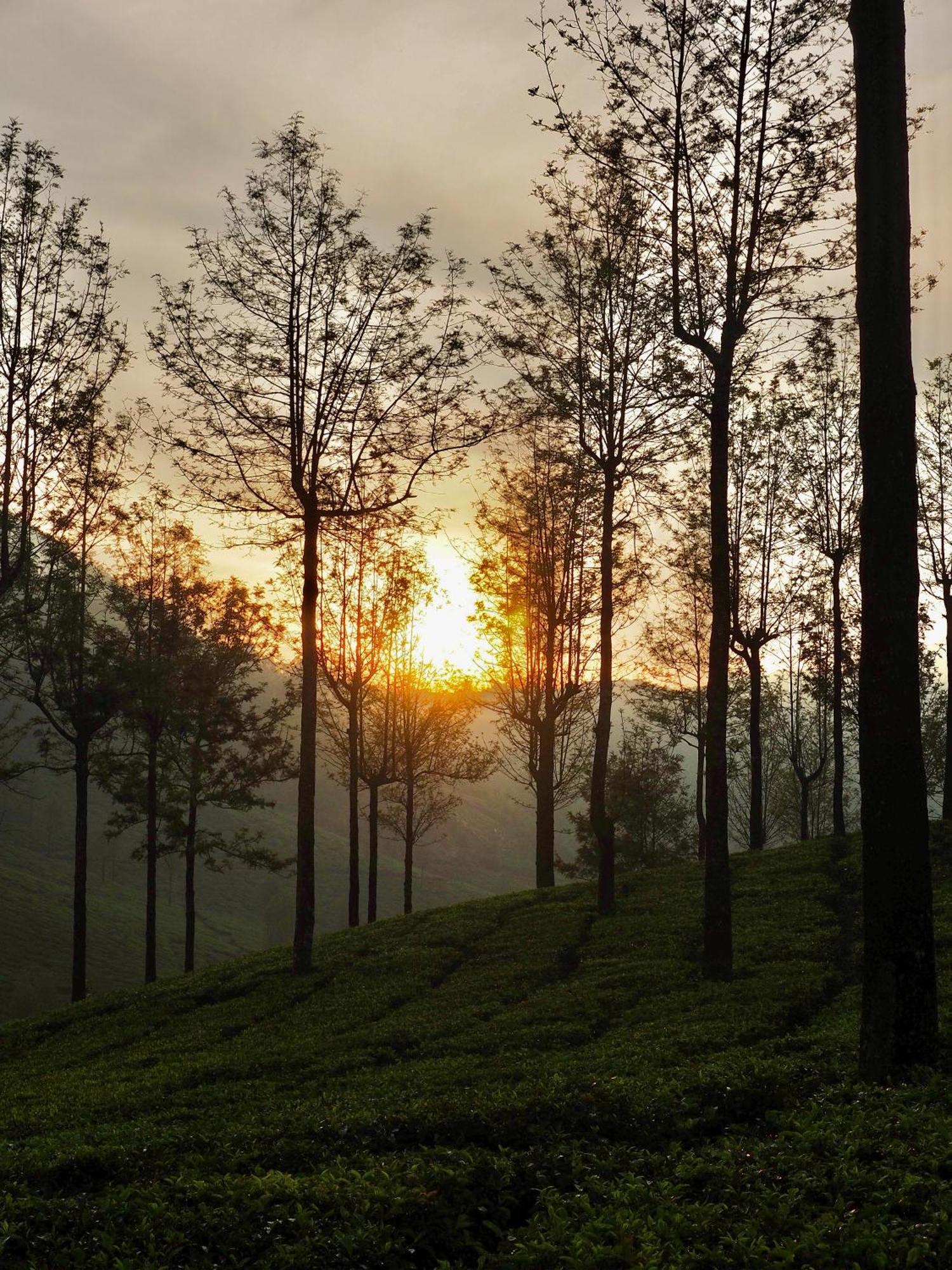 Lockhart Bungalow Munnar - A Cgh Earth Saha Experience المظهر الخارجي الصورة