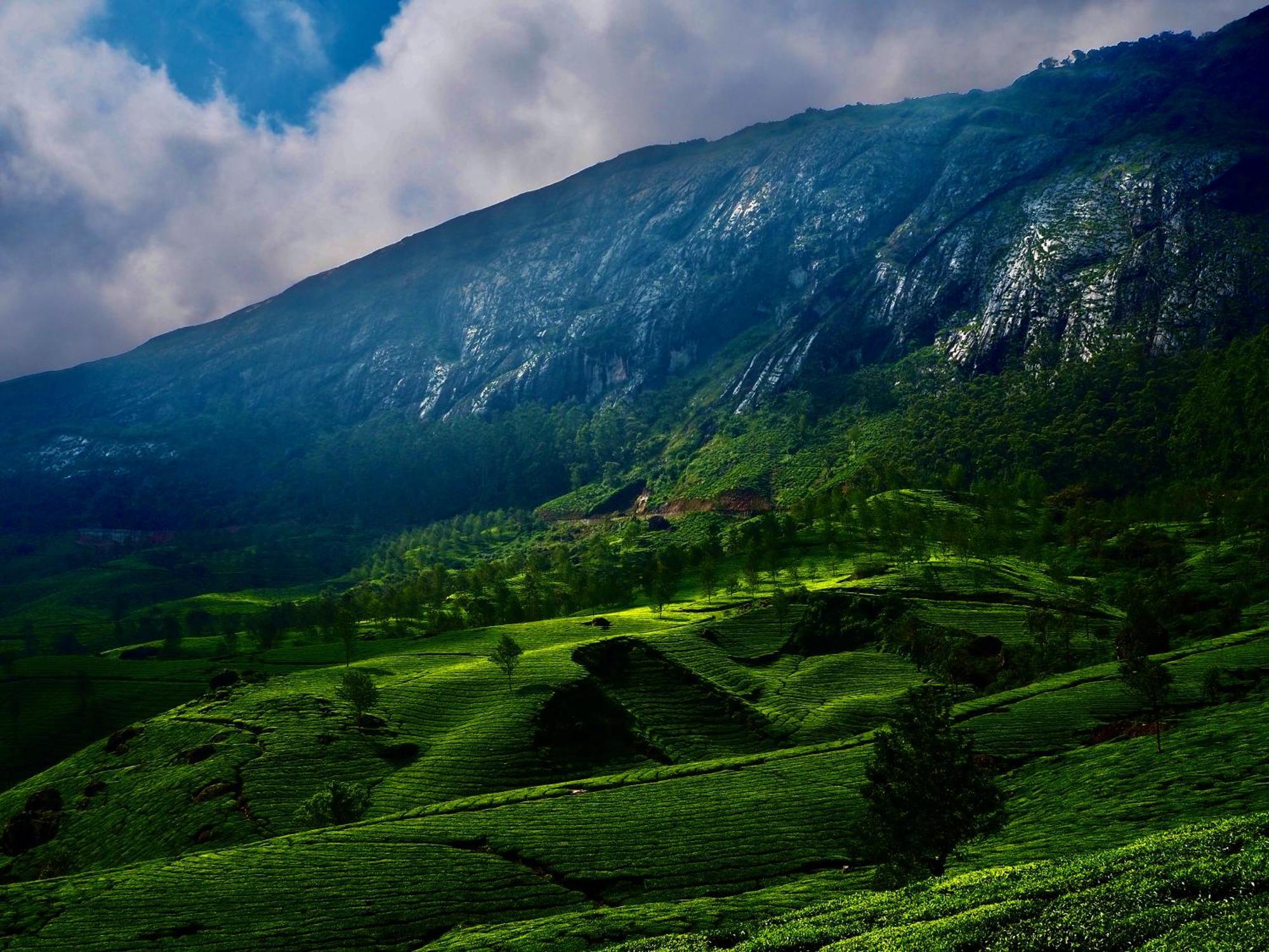 Lockhart Bungalow Munnar - A Cgh Earth Saha Experience المظهر الخارجي الصورة